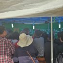 [금산]인삼축제 간단 후기(체험한 것 위주)