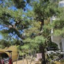 (주)이든조경 | 원규 스튜디오 - 조경 공사, 서울 조경, 블럭 포장, 잔디, 보행로, 산책로, 자연석, 호피석, 경계석...