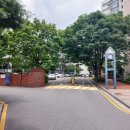 삼성아파트 앞 | 도곡동 도곡삼성아파트 임장 후기