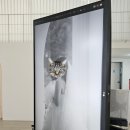 자양번영로 | [결혼 준비] #04. 스드메 기록 : 라흐 스튜디오(+촬영 부케 및 풍선 후기)