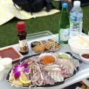 먹자판 | 노량진 수산시장 활어 회센터 맛집 추천 해태기아 내돈내산 후기