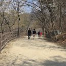 송정 박상진호수공원 미로물정원 이미지