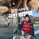 케미코리아 이미지