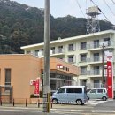 앞들동2로 이팝나무길 | 2박 3일 대마도 자유여행, 간편한 '일본 -유심 스토어 해외여행 무제한 eSIM' 솔직 후기