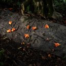 영정농장 이미지