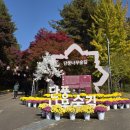 가을 숲으로 놀러가자 이미지