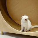 오뗄뒤샤 이미지