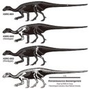 부경고 3 | 우리나라에도 티라노급 포식자가 있었다? 한반도 공룡의 충격적 진실