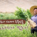 (살어리랏다3) 한 뿌리 30만원! 대박 큰 슈퍼도라지 키우는 농사꾼, 이봉선 씨 ktv, korea tv, bts, super bal 이미지