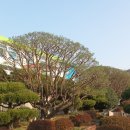 지정중학교 이미지