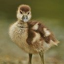 중화역2번출구 이미지