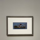 남관특별전 Ⅲ 파리가 사랑한 화가 남관 | MMCA 이건희컬렉션 특별전: 한국미술명작