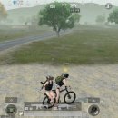 J Man’s Motors | 일본 한달(넘게)살기