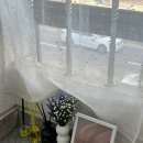 세븐일레븐 구월인주로점 | 인천 구월동 브라질리언 왁싱 잘하는 곳 센트럴왁싱 구월점추천