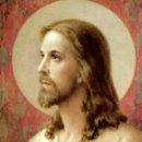 홍천테마파크 이미지