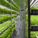 요동농장 이미지