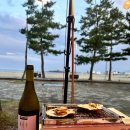 백도오토캠핑장 | 강원도 고성 해수욕장 백도오토캠핑장 A구역 백도수산 가리비