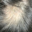 인산림의원 이미지