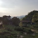 영동 해피 팜 이미지