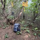 우회도로삼거리(좌) | ⛰🚶🏻‍♂️ 두위지맥 (졸업산행) 3구간 (수라리재~남한강합수점)