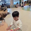 오로라월드스타필드시티 | 🍽️ 스타필드 시티 부천 맛집 아이랑 식사하기 좋은 잇토피아 키즈존 후기