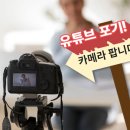 당근카메라 헤럴드경제