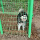 대화한우농장 이미지