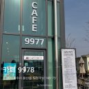 카페9977 이미지