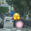 150036 이미지