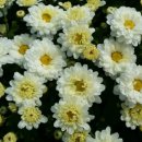 한국 약사 A.K 테스트 연구회 모임을 마치고 이미지