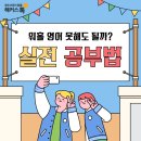 현지에서 먹히는 리얼 실전 영어여행 | 워홀 영어 못해도 될까? 실전 영어회화 공부하는 법 &amp; 후기
