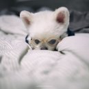 여울안경 이미지