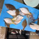 대진출장소 이미지