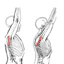 머슬팩토리24 삼천포점 이미지