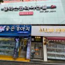 부산강아지분양 앨리펫 이미지