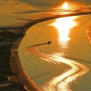 새들펜션민박 이미지