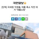 [단독] 국세청 직원들 대출축소 직전 대규모 대출쇼핑 이미지