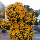 해남군청 이미지