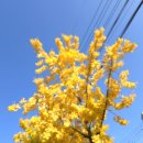 범어탄탄정형외과의원 | 목아파서 찾아갔던 수성구 야간진료 하는 병원 범어탄탄정형외과