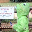 공원조류사