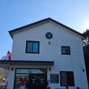 똥개애견카페 이미지