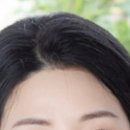 선희네호프