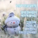 2021년 12월 2일 목요일 날씨 ☀️☁️🌧⛅ 이미지