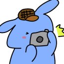 장안사거리 이미지