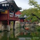 스테이 선선 | 순천 송광사 템플스테이 휴식형 체험 후기 프로그램 예약방법 느낀점 정리
