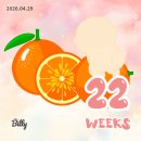 모마필라테스 | 임신 20-24주 | 배크기, 뉴나 카시트 유모차 구매, 임산부 칼슘영양제, 임신여행중 토하고 난리난썰..