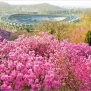 선사시대로 탐방 길(선사1코스) 이미지