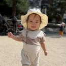 튼튼 둘반 9월 5주 이야기(광목천나뭇잎두드리기,배추애벌레관찰,도토리찾아넣어보기,양말목공넣어보기,전형필가옥) 이미지