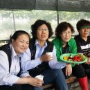 기동농장 이미지