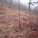 느티나무2농장 이미지